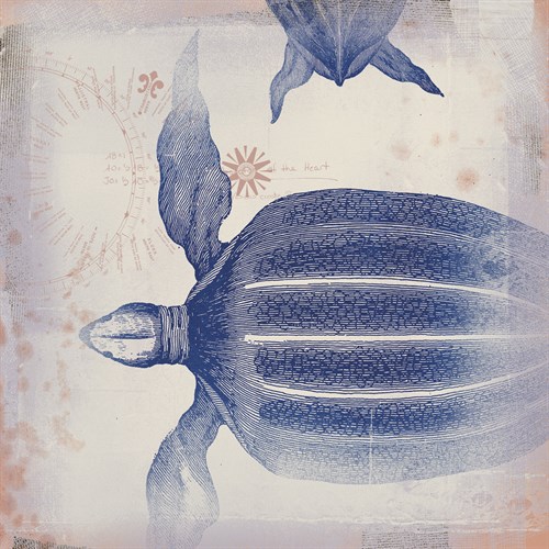Oceanus Turturem - Ken Hurd