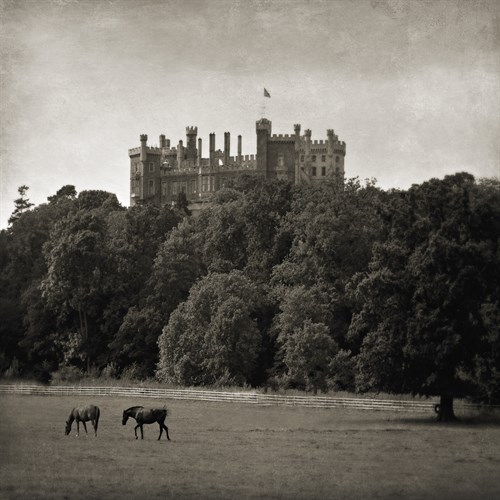 Belvoir Castle Horses - Pete Kelly