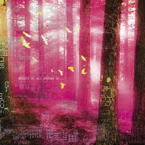 Radiant Light I - Tom Frazier