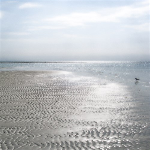 Seascape - Solo - Malcolm Sanders