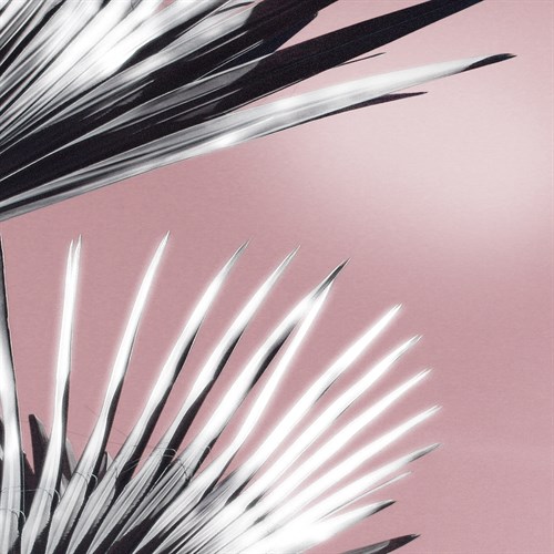 Tropica Lavallette - Malcolm Sanders