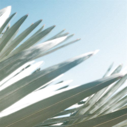 Tropica Wildwood - Malcolm Sanders