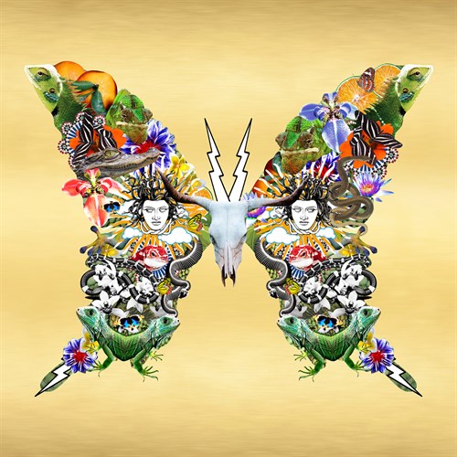 Fantasy World - Butterfly - Amy Shaw