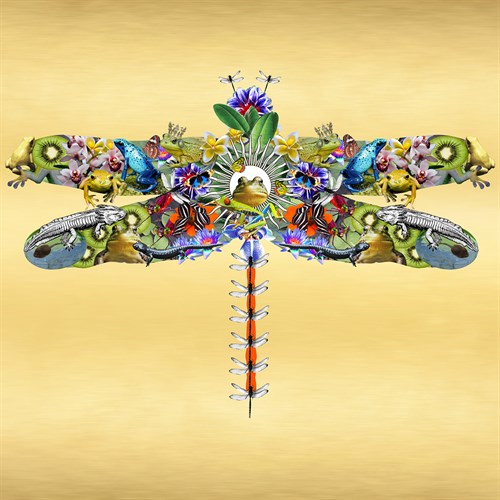 Fantasy World - Dragonfly - Amy Shaw