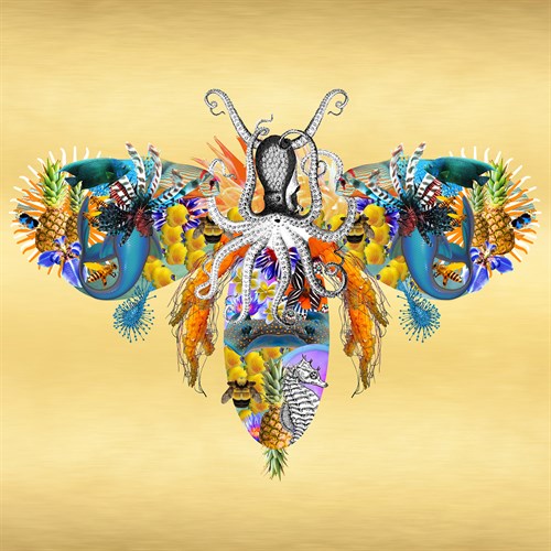 Fantasy World - Bee - Amy Shaw