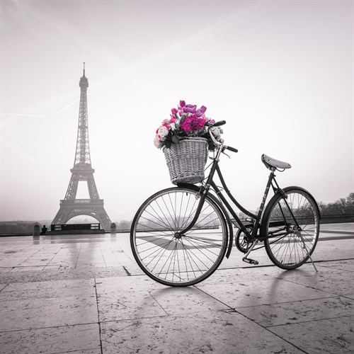 Parisian Chic - Assaf Frank
