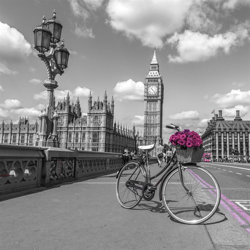 City Blooms - Assaf Frank