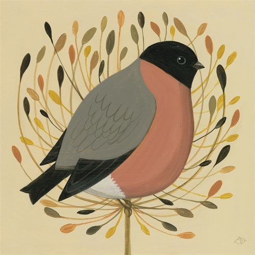 Bullfinch - Catriona Hall