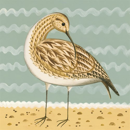 Whimsical Whimbrel - Catriona Hall