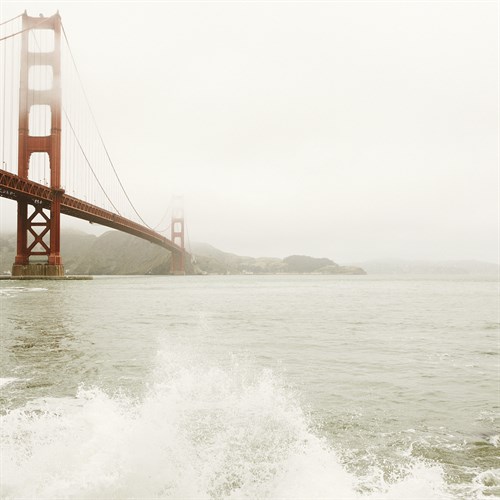 San Francisco Storm - Irene Suchocki