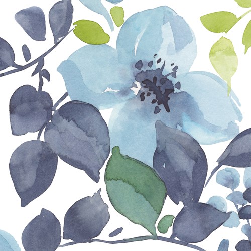 Slumber Shades II - Sandra Jacobs