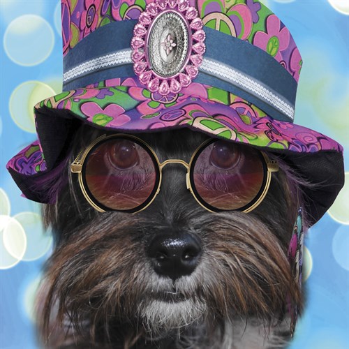Give Treats a Chance - Malcolm Sanders