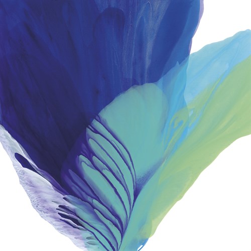 Plant Form - Nick Vivian