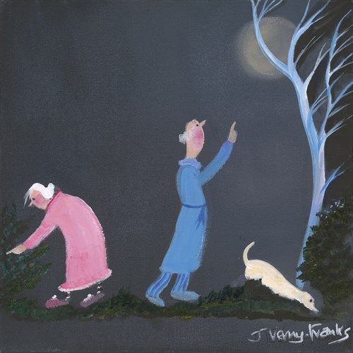 Looking for the Cat - Jennifer Verny-Franks