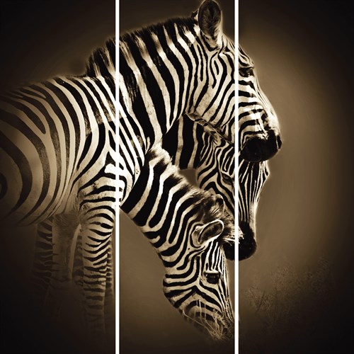 Mirage - Trio - Bobbie Goodrich