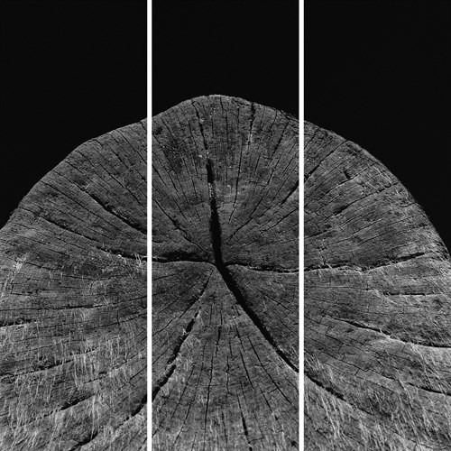 Natural Fragment - Trio - Chris Simpson
