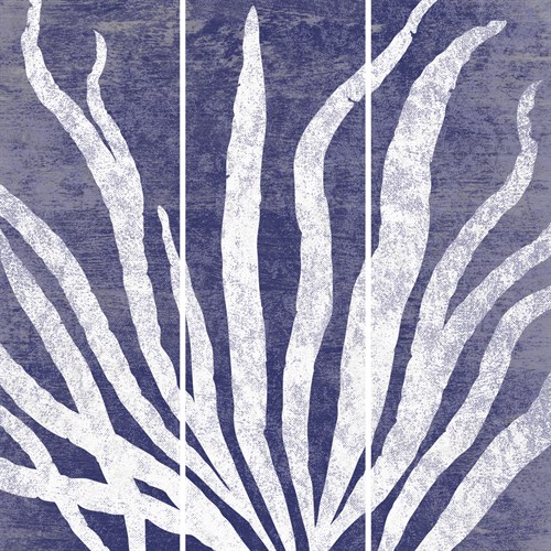 Reef IV - Trio - Maria Mendez