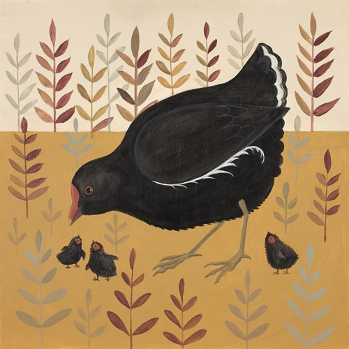 Mother Bird - Catriona Hall