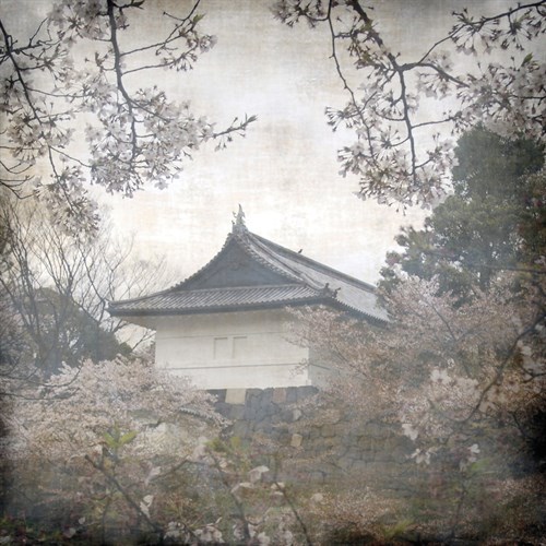 Tokyo Blossoms - Tony Koukos
