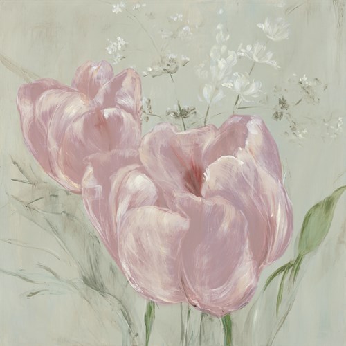Fine Tulip I - Blush - Maria Mendez
