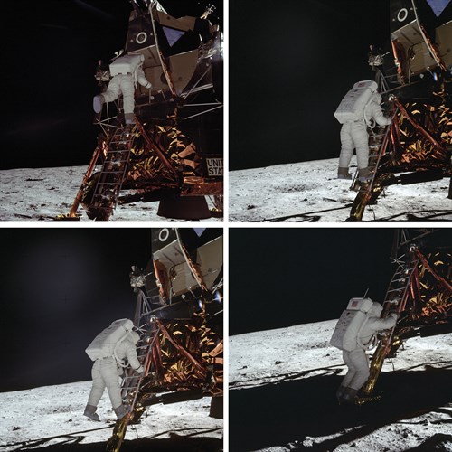 Eagle Exploration - Contemporary Photography