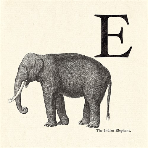 Animal Alphabet - E - The Vintage Collection