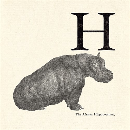 Animal Alphabet - H - The Vintage Collection