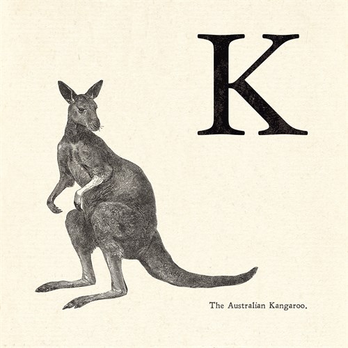 Animal Alphabet - K - The Vintage Collection