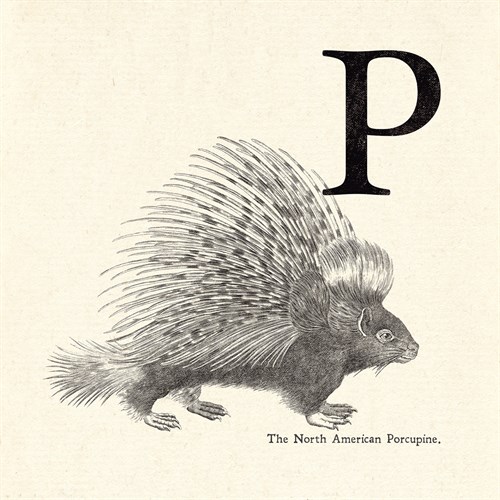 Animal Alphabet - P - The Vintage Collection