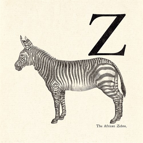 Animal Alphabet - Z - The Vintage Collection