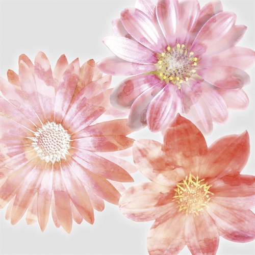 Luminescent Petals - Collezione Botanica