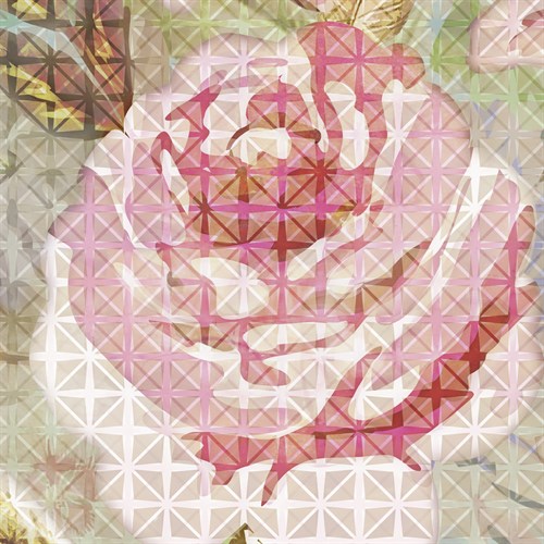 Rasterised Rose - Stefan Jans