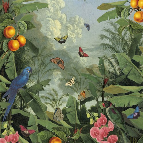 Jungle Paradise - The Vintage Collection