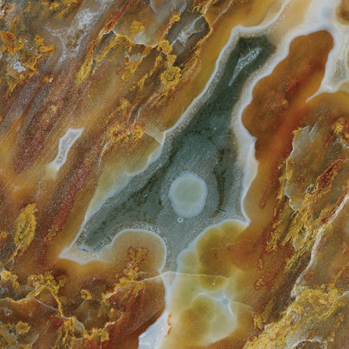 Leporis - Jason Jade