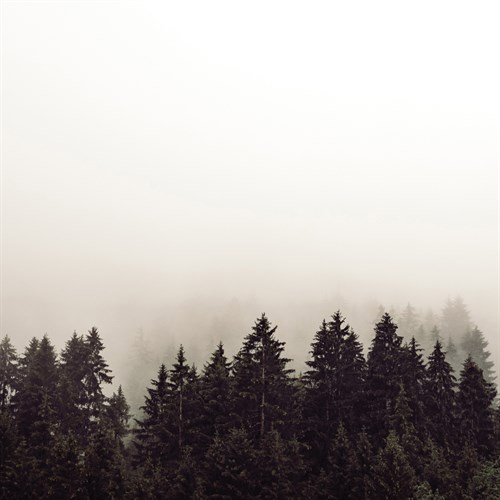 Misty Peaks - Florian Schleinig