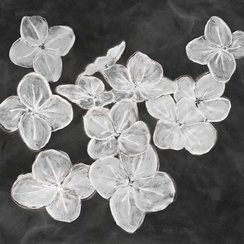 Chalky Little Petals - Belle Poesia