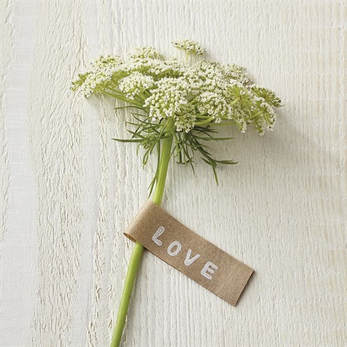 Love Note - Posy - Camille Soulayrol