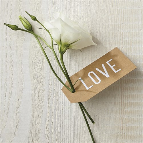 Love Note - Corsage - Camille Soulayrol