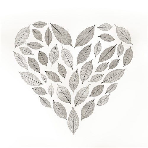Love Leaves - Assaf Frank