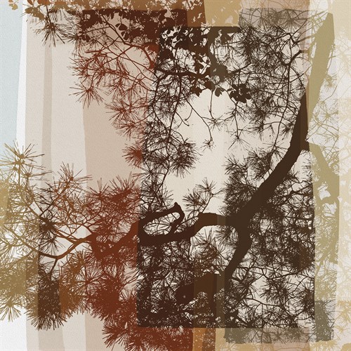 Nostalgia Harmony - Dana Shek