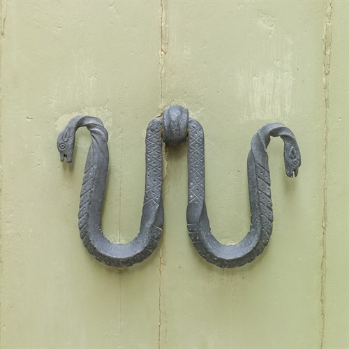 Serpent Rapper - Assaf Frank