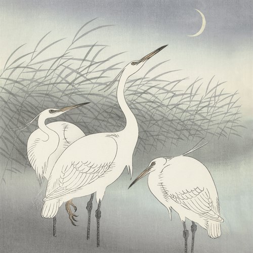 Herons in Shallow Water - Ohara Koson