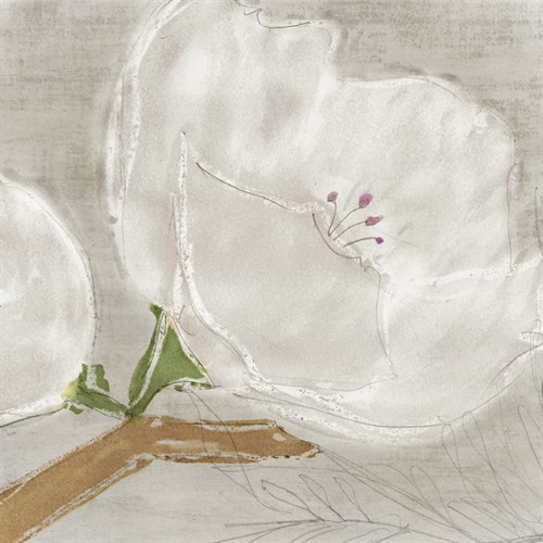 Winter's Petals - Bloom - Belle Poesia