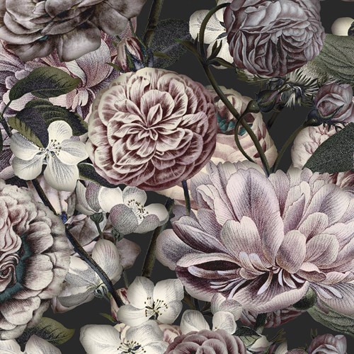 Bloom Allure - Stefan Jans