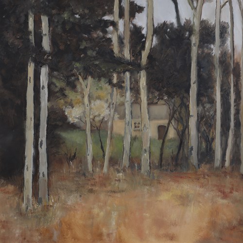 In the Woods - Bill Philip