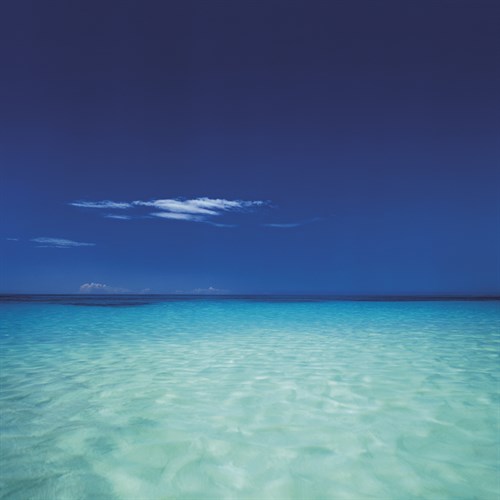 Barbuda II - Chris Simpson