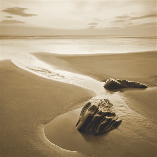 Sandy Mouth - Joe Cornish