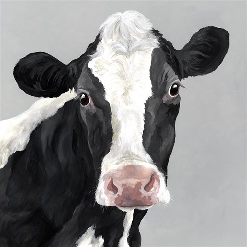 Dottie - Janie Howe