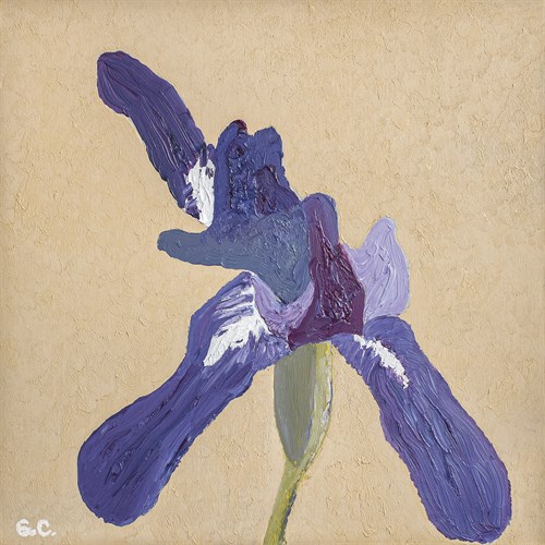 Floral Focus - Bloom - Gaetan Caron