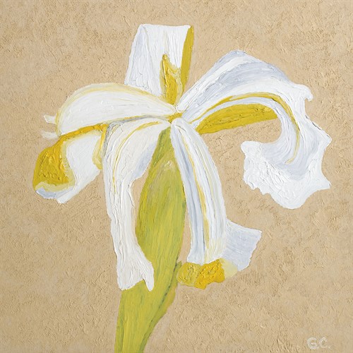 Floral Focus - Thrive - Gaetan Caron